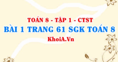 Bài 1 trang 61 SGK Toán 8 Tập 1 Chân trời sáng tạo